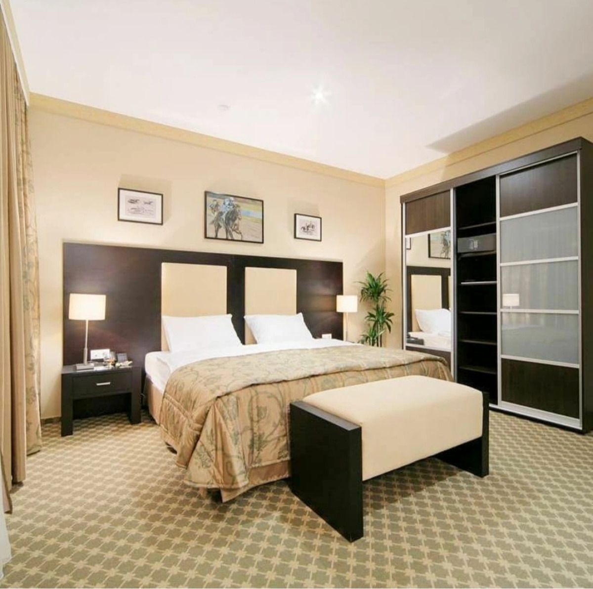 Отель Сенатор