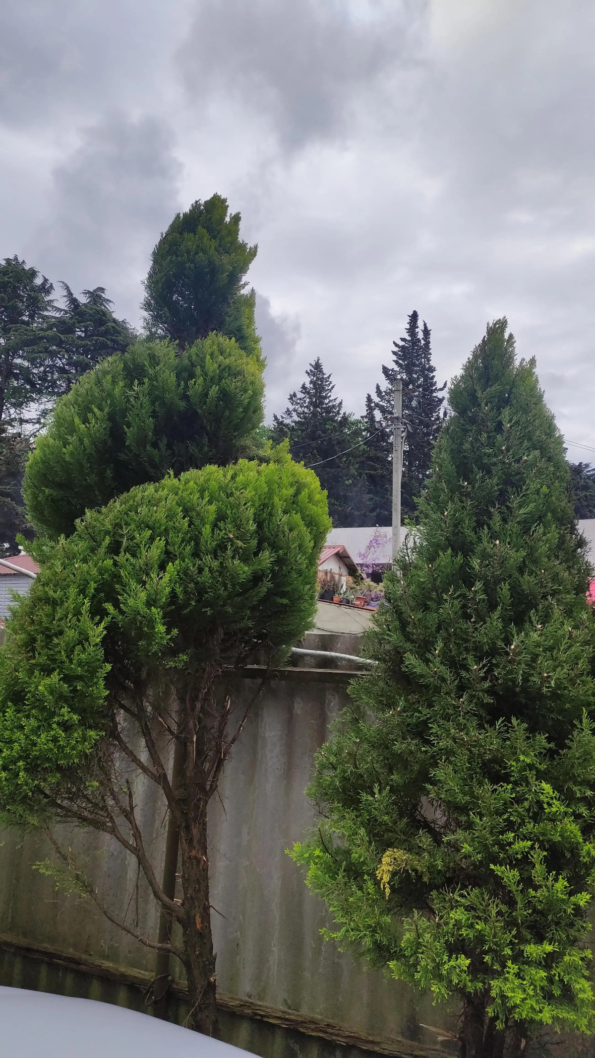 Гостевой дом Есения