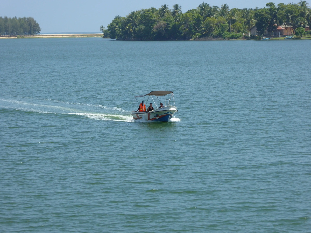 Отель Riviera Resort