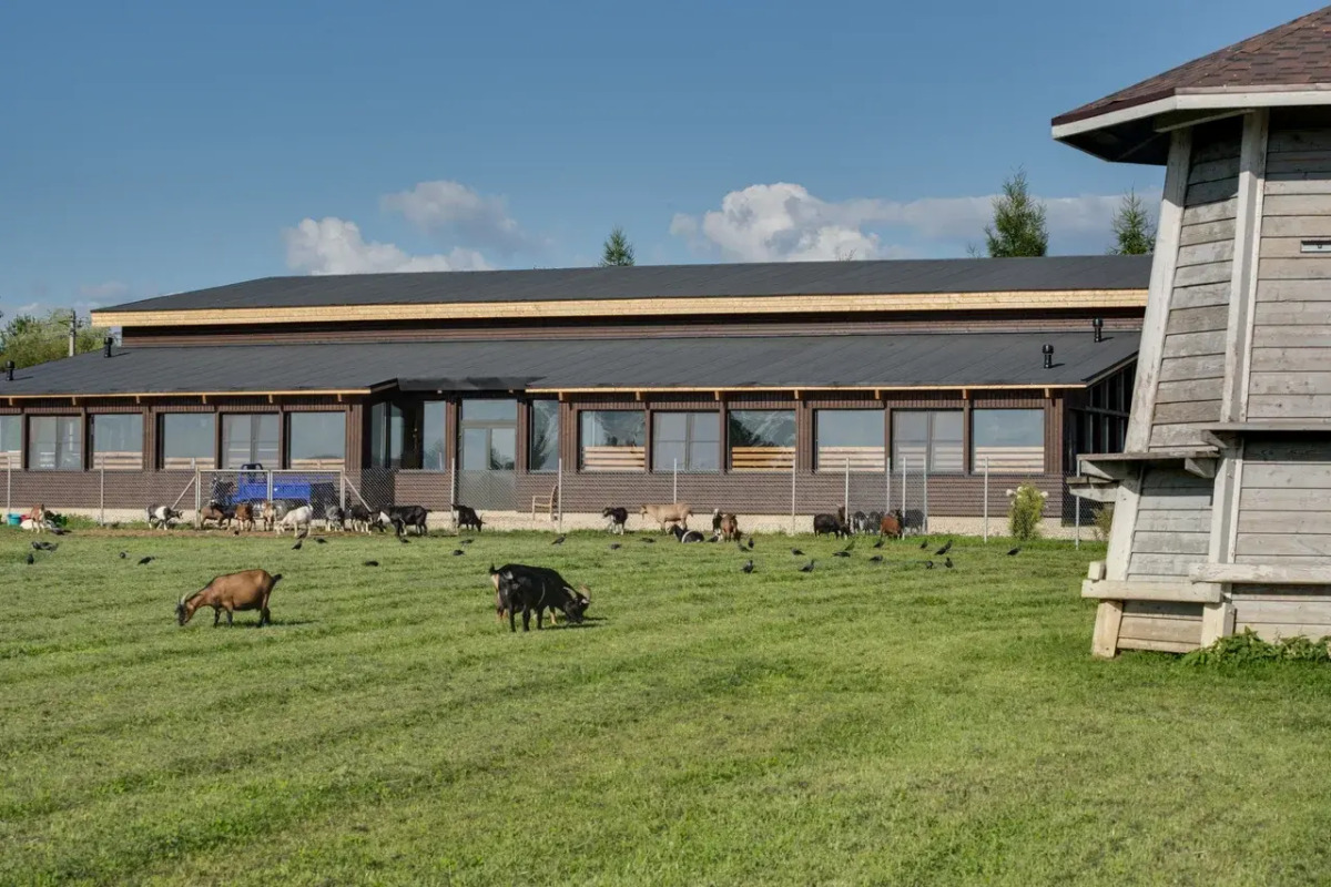 Бутик-отель Зеехоф