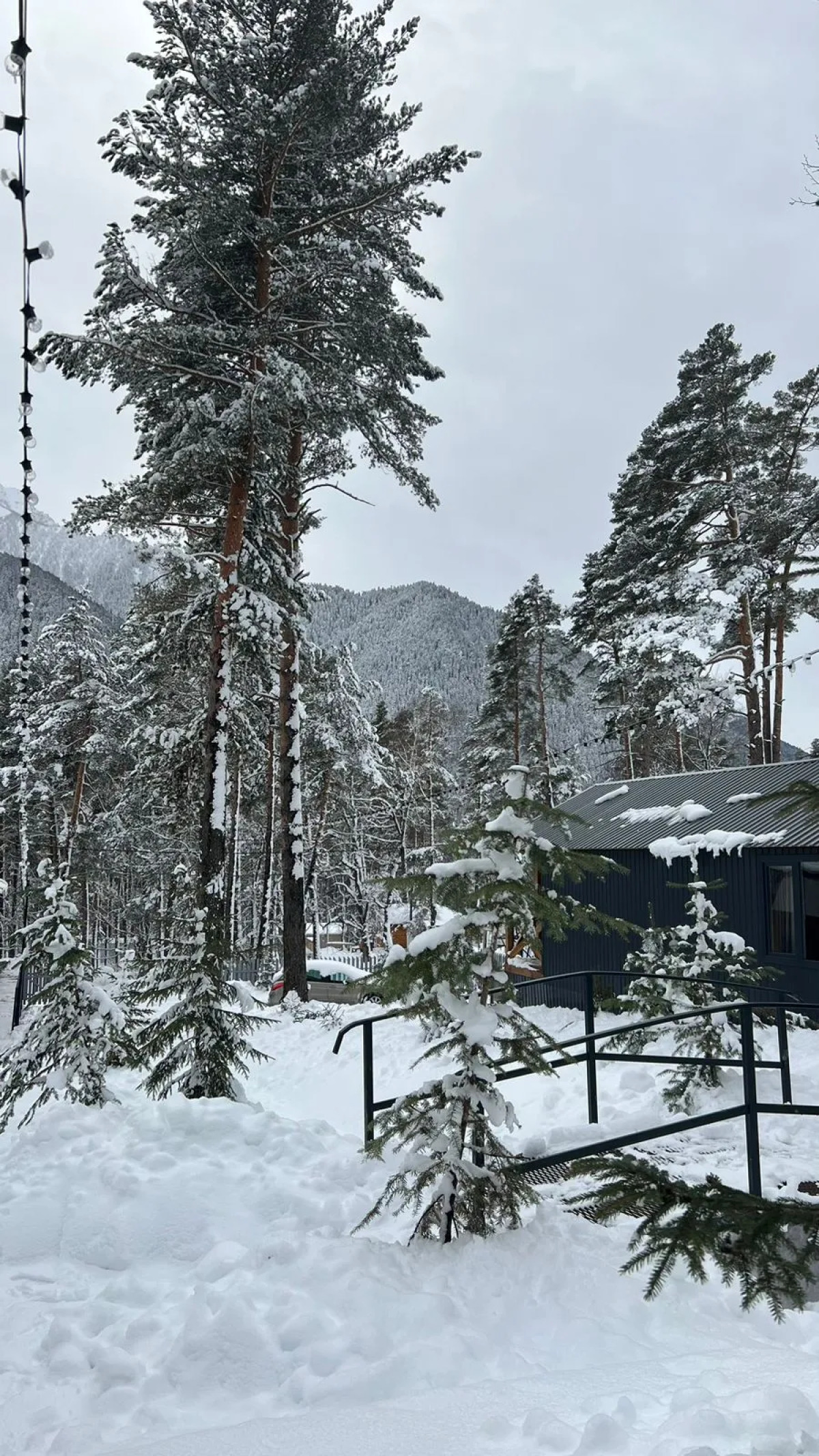 База отдыха Сосновка