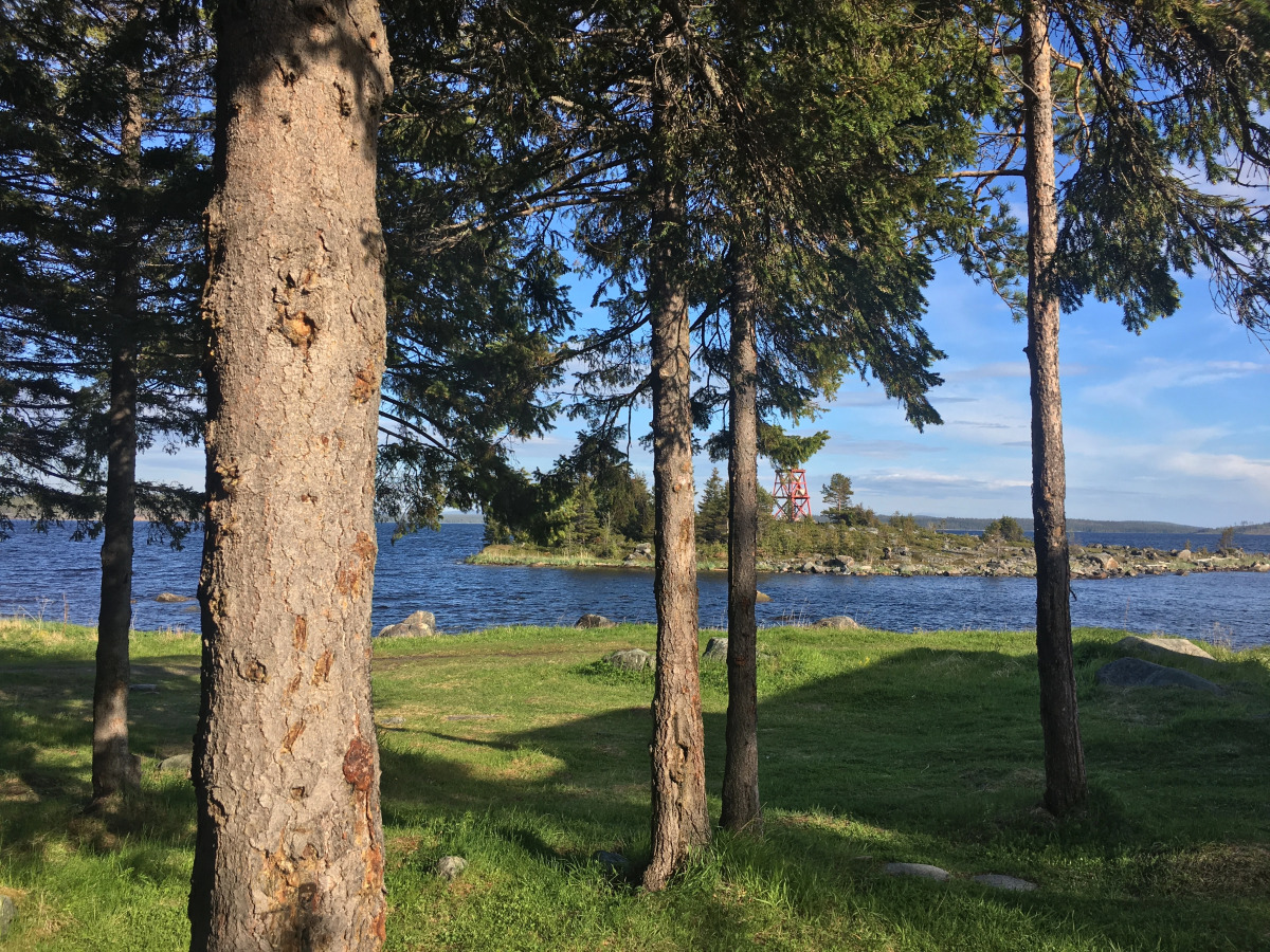 Отель Cedar Grass Белое Море