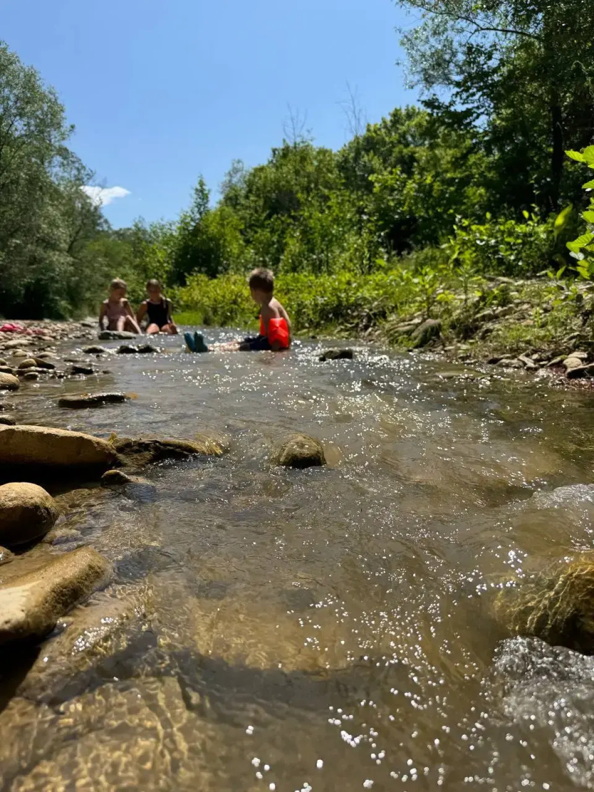 Частный дом Дизайнерский Барнхаус