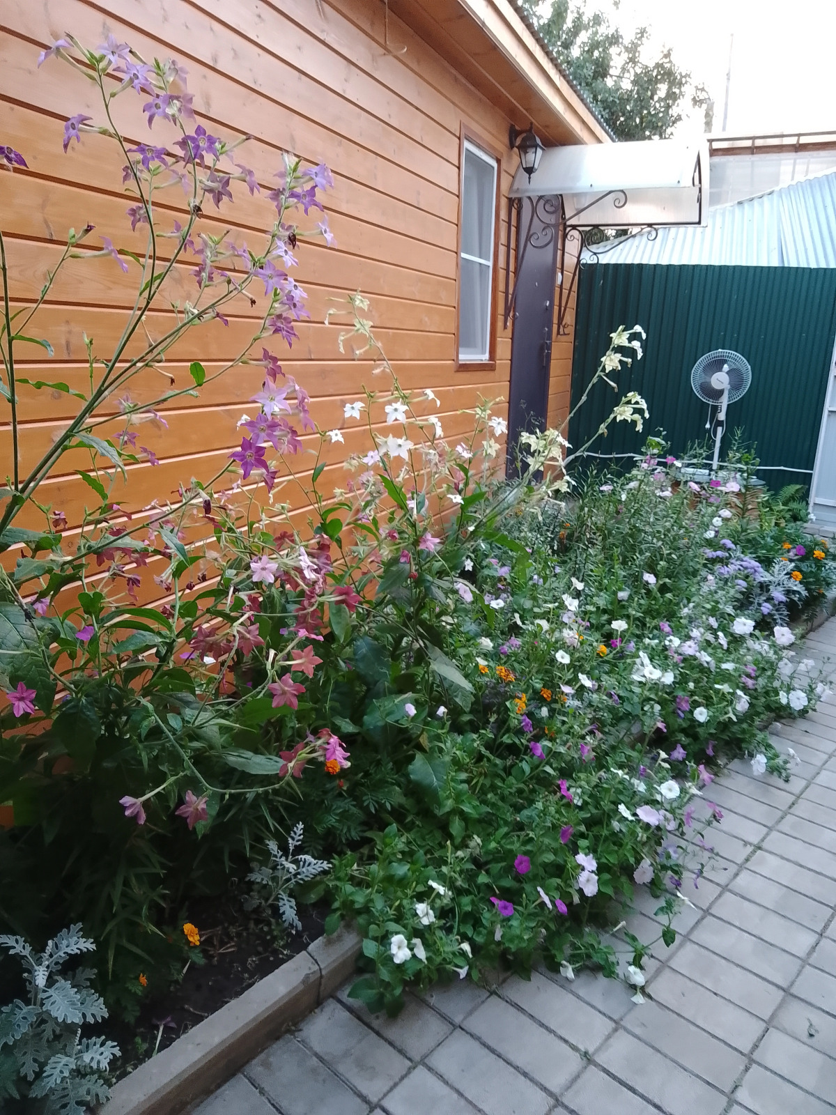 Гостевой дом Спасс