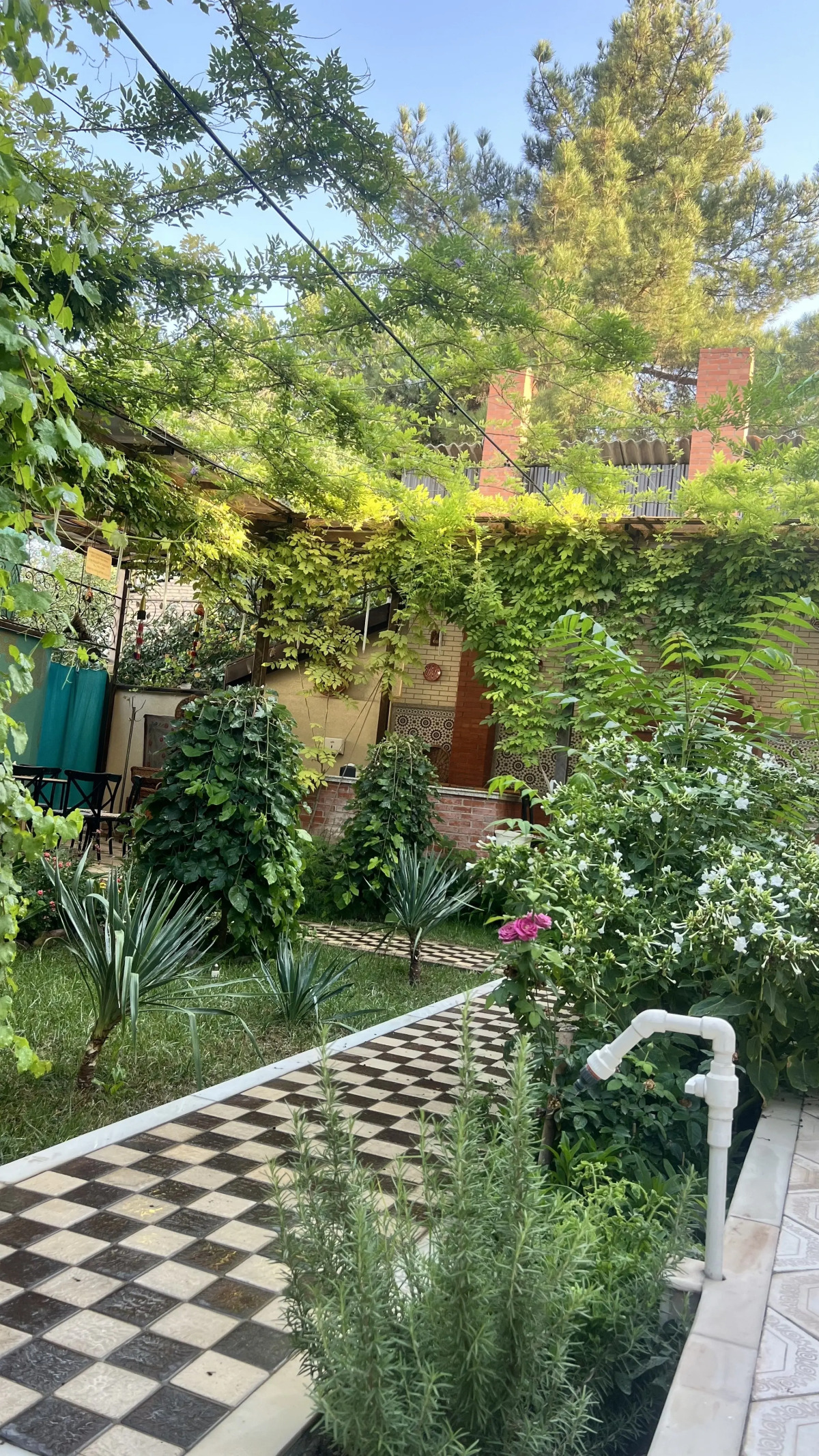 Отель Zahid Inn