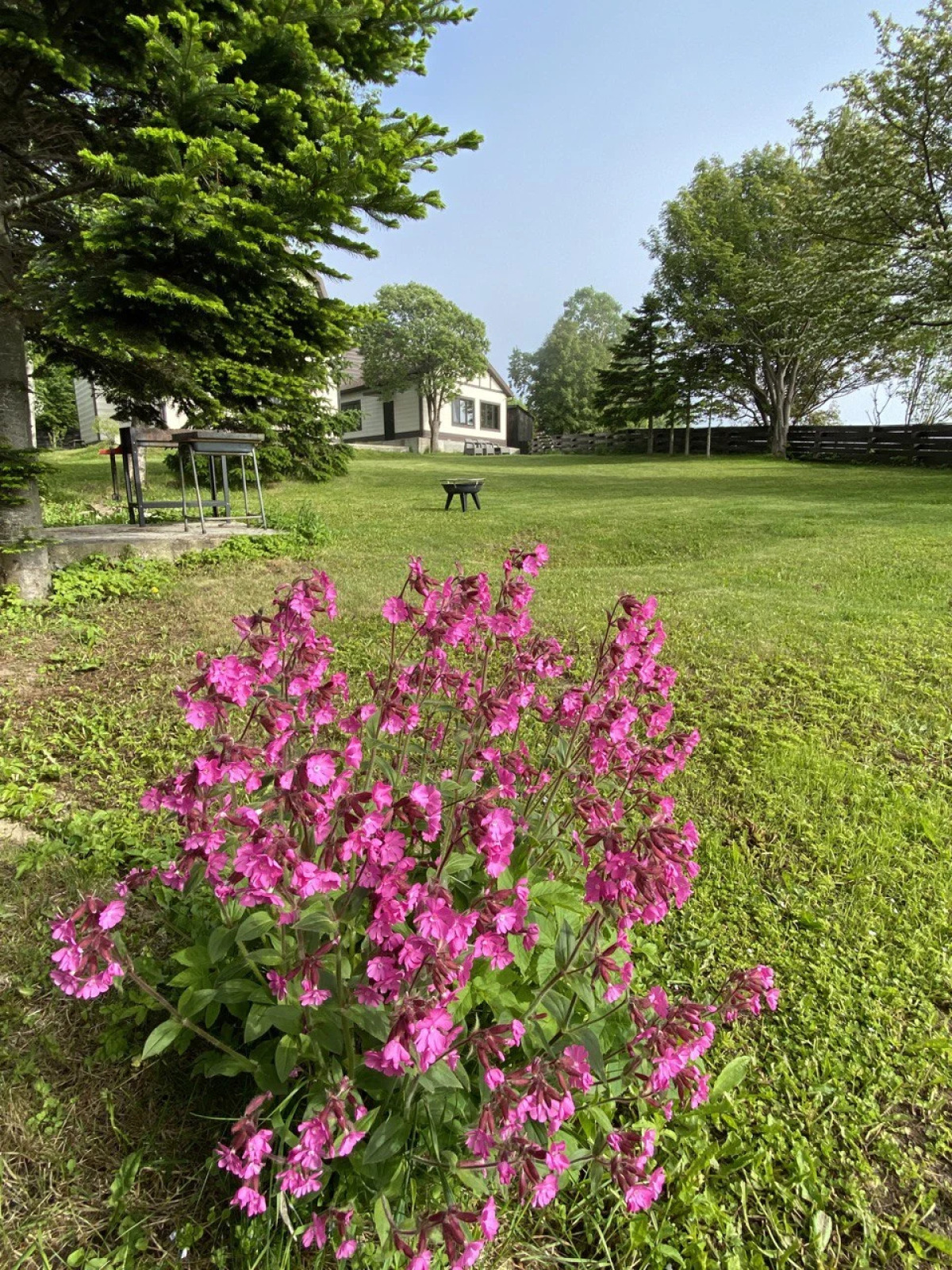 Гостевой дом Bay House Sakhalin