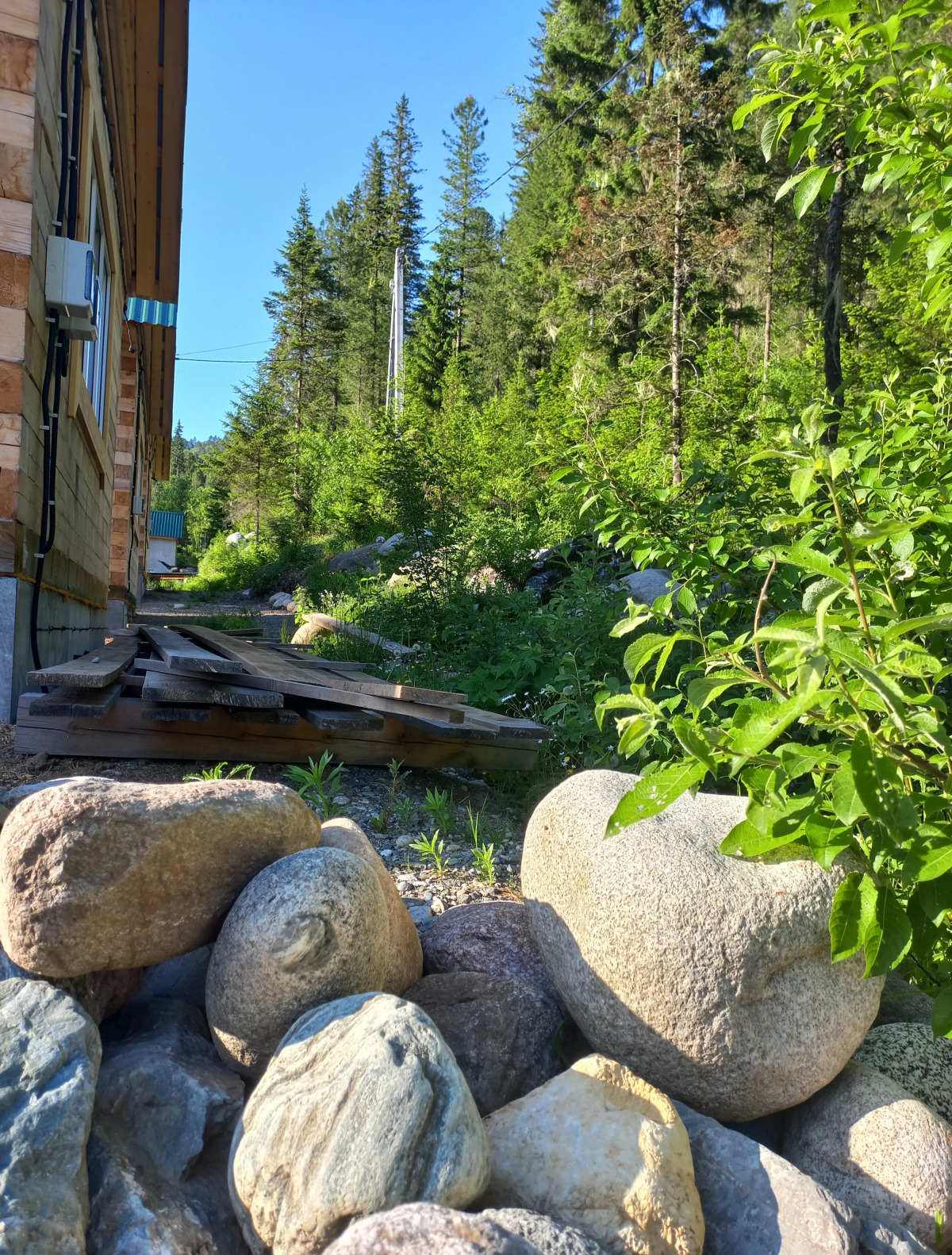 Гостевой дом Еловый