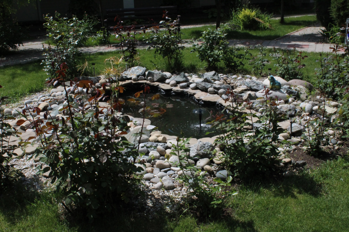 Отель Золотой Лев