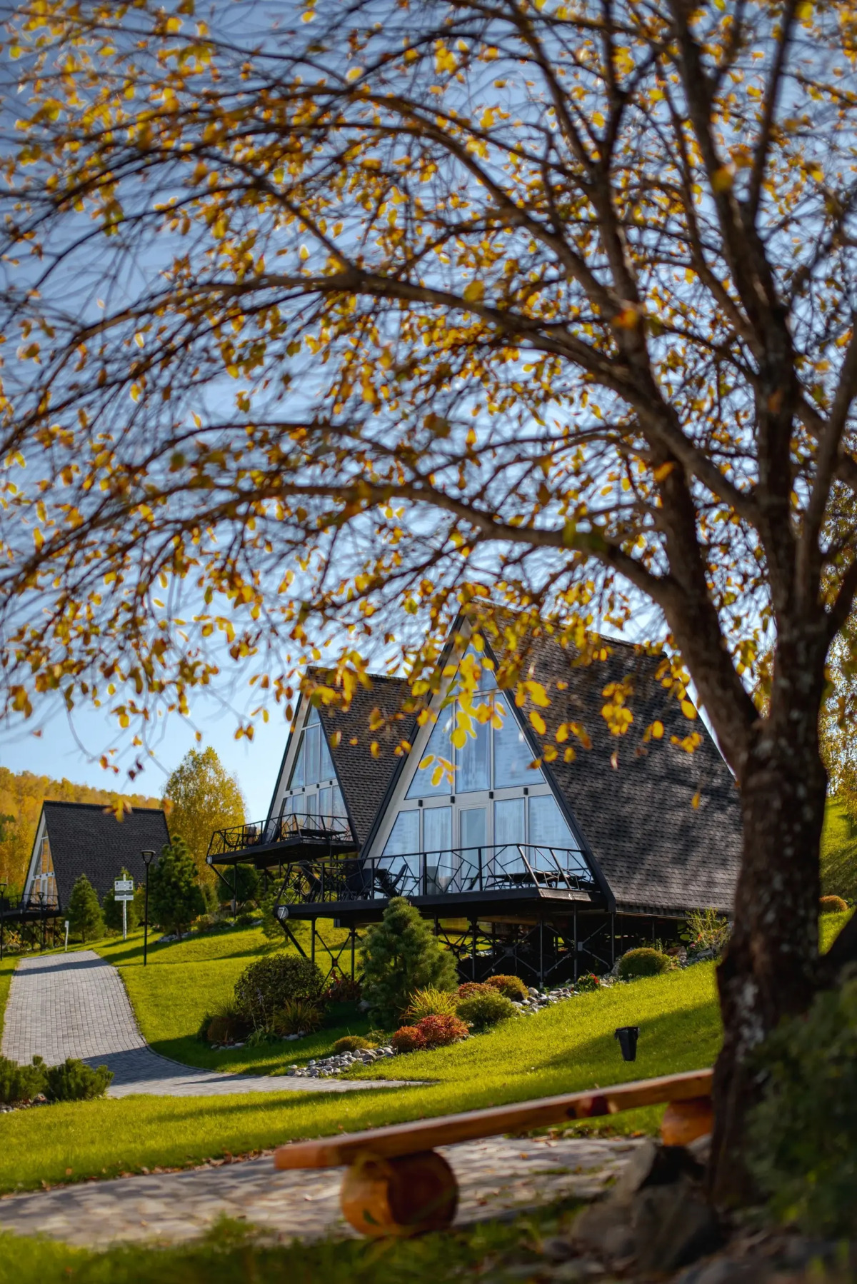 Шале Алтай Пэлас