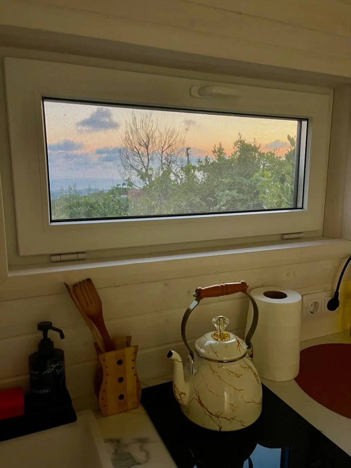 Частный дом Лавровая дача