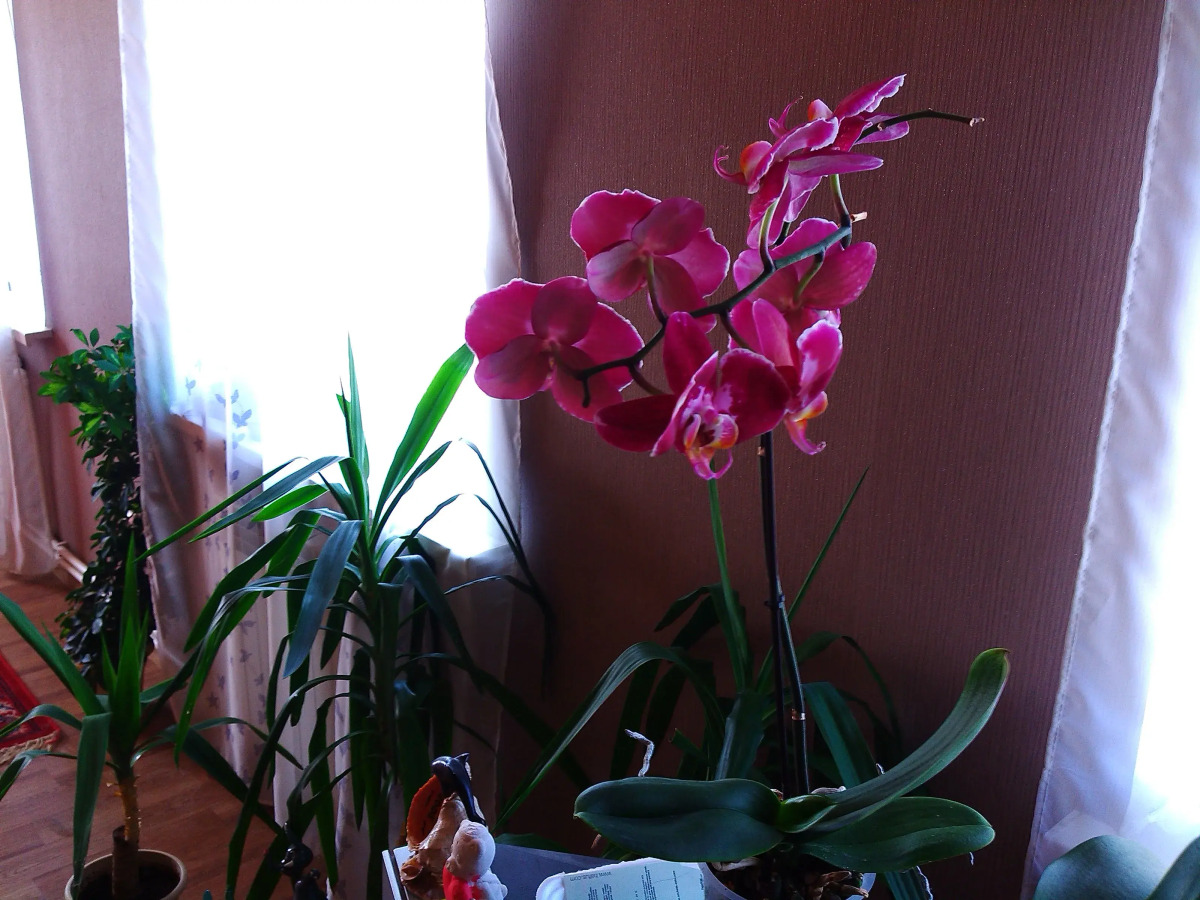 Гостевой дом В Залесном М7