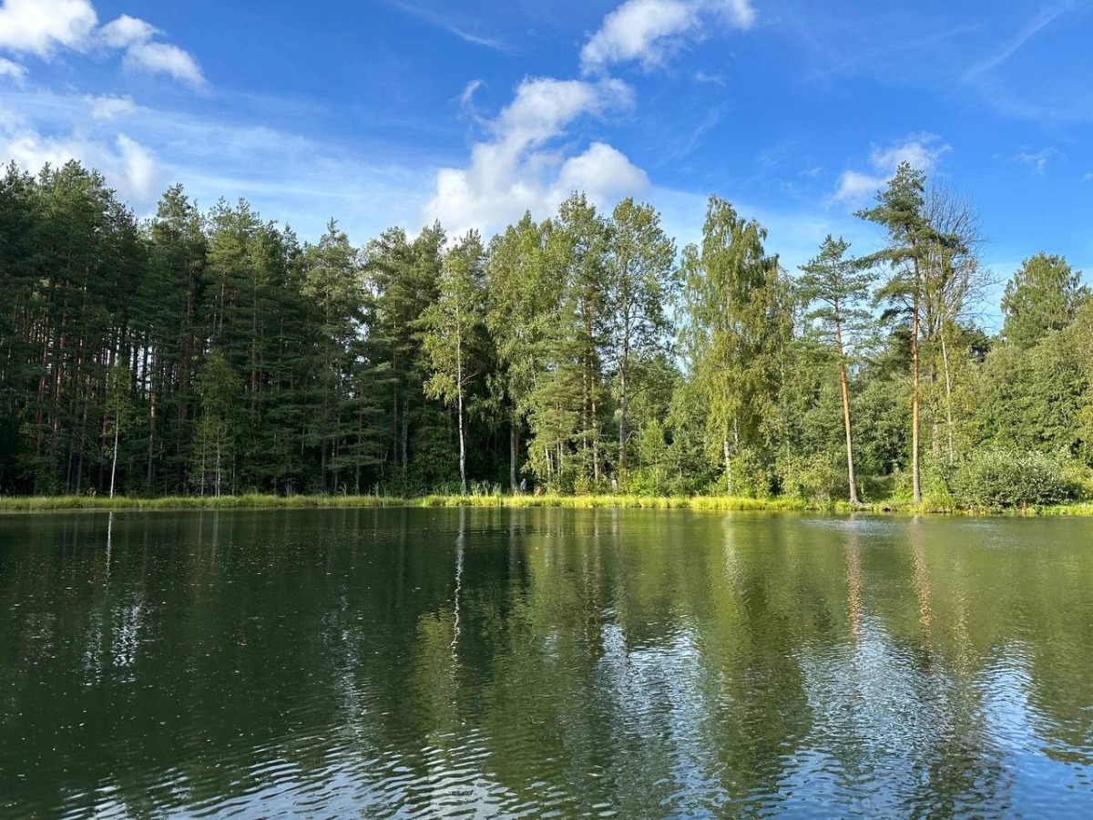 Частный дом загородный с баней на дровах