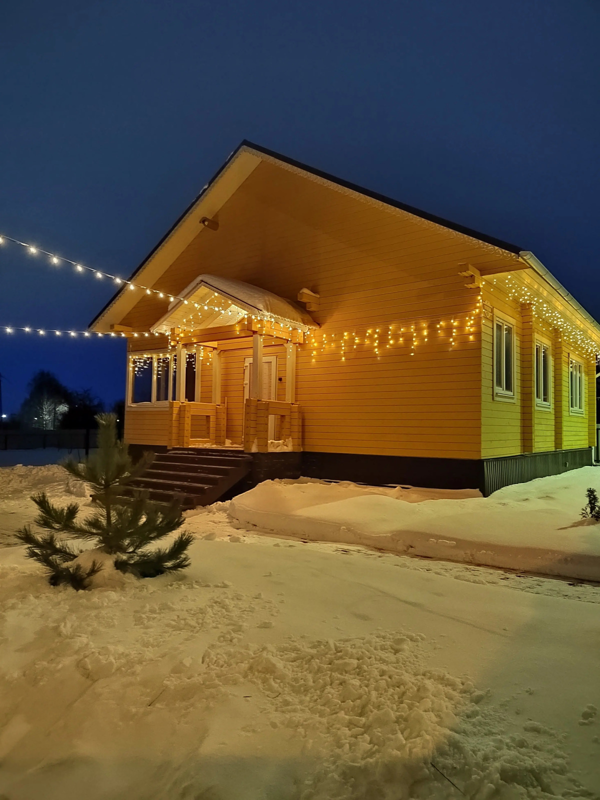 Частный дом на улице Туполева