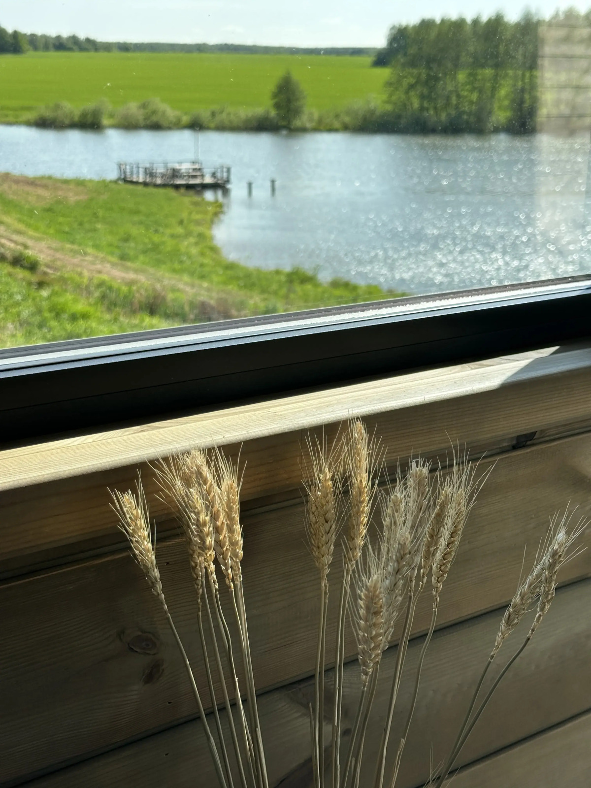 Частный дом Луговая сказка