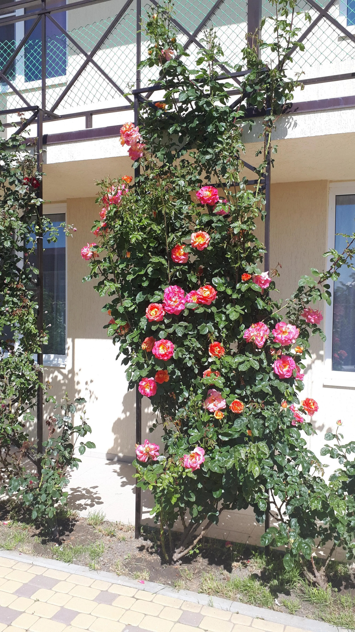 Guest House on Aivazovskogo 38