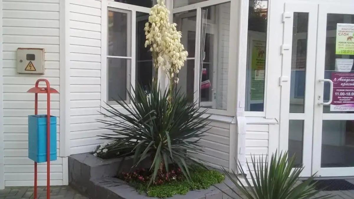 Гостевой дом Патио