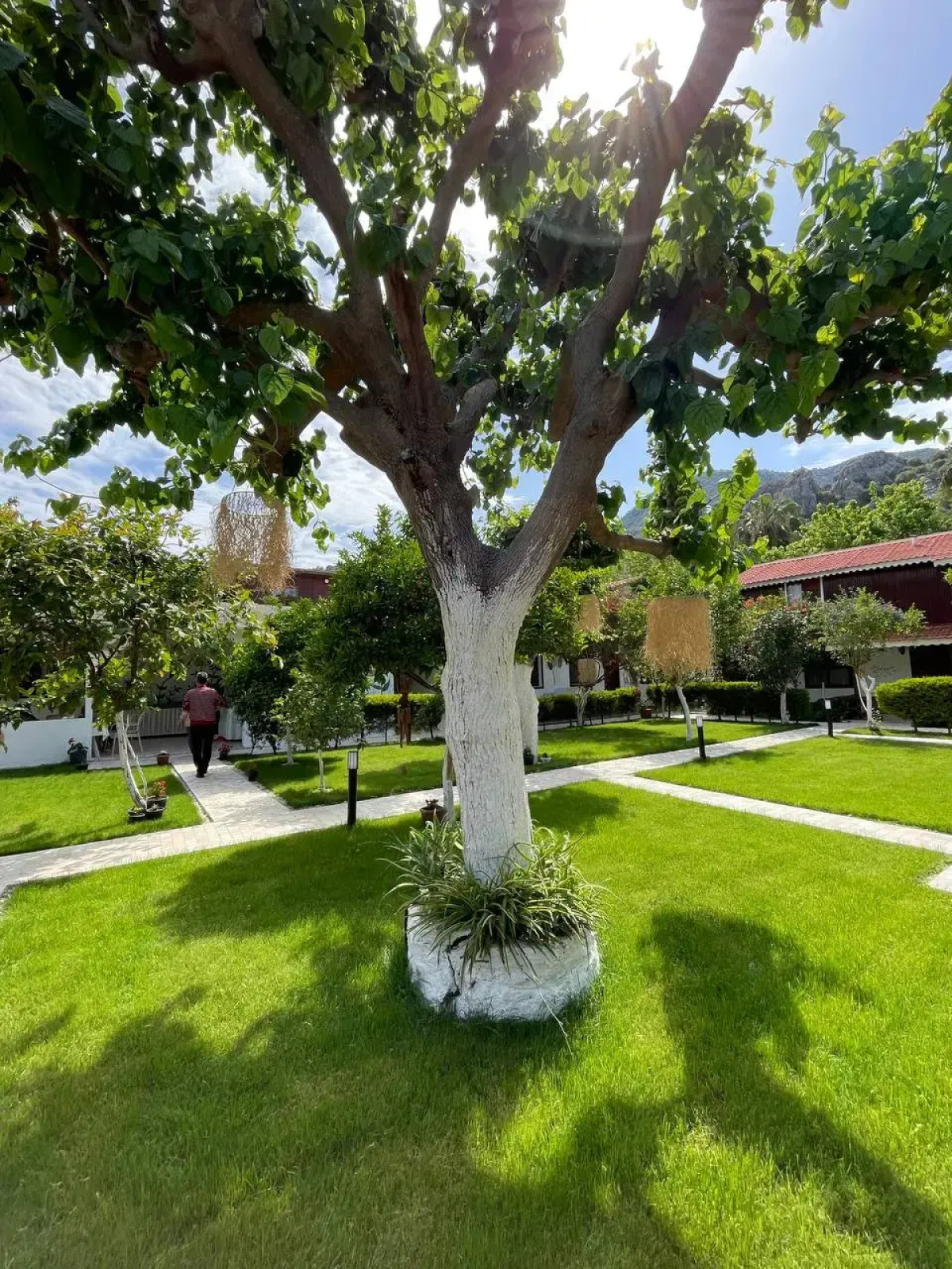 Мини-отель Alican Pension