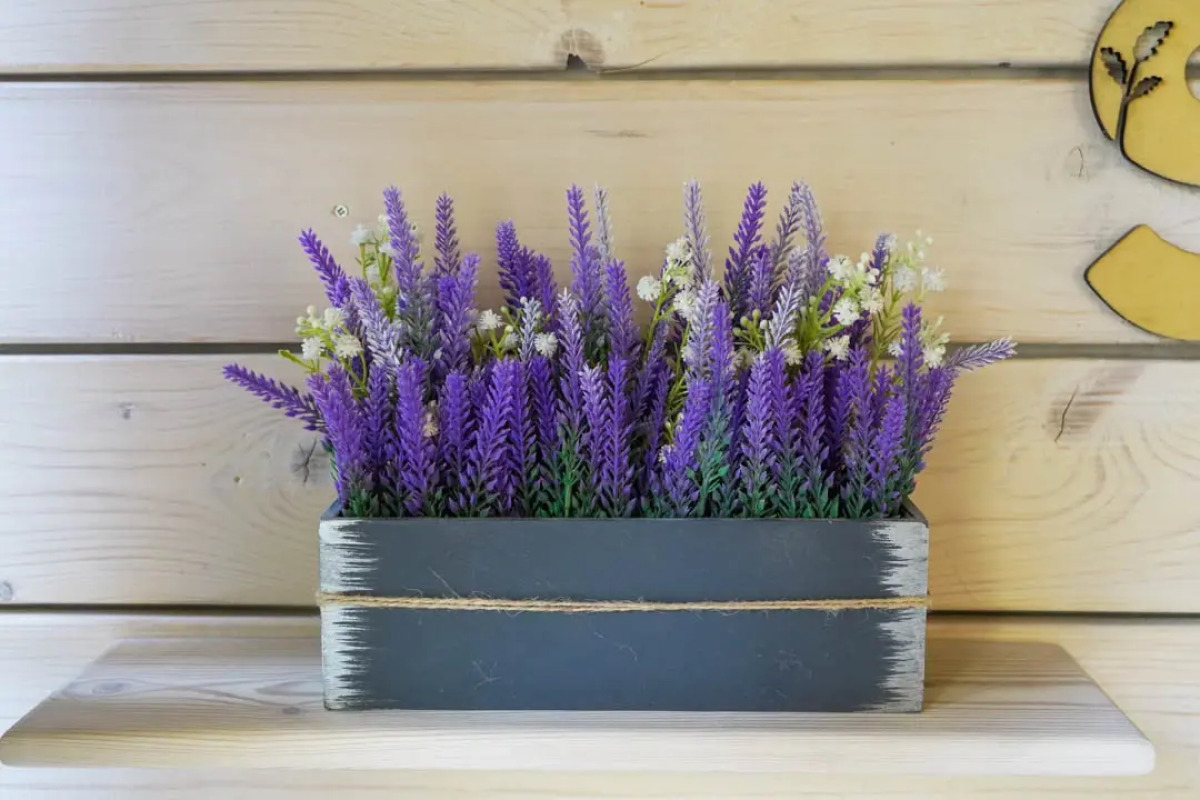 Коттедж Пихта №2