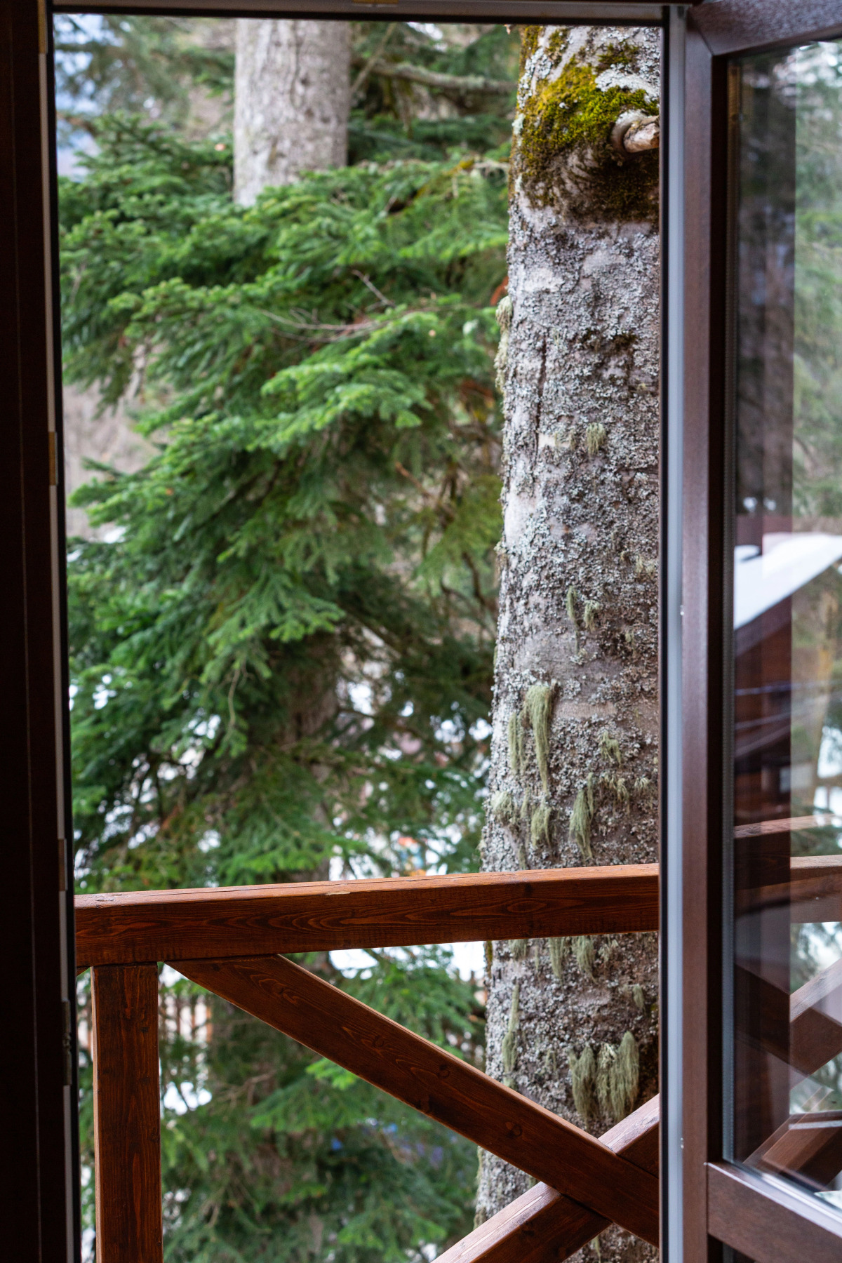 База отдыха Velvet