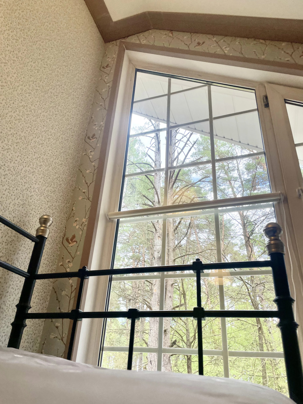 Частный Дом Бревенчатый Дом в Соснах