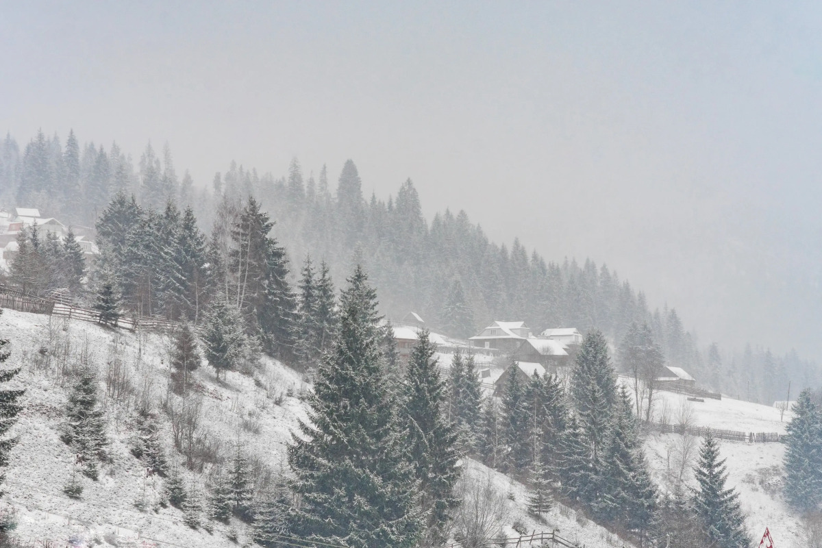 Отель Villa Milena