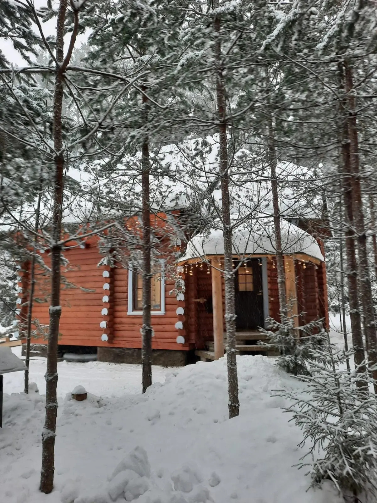 Гостевой дом у Озера в Лесу Маркова заимка