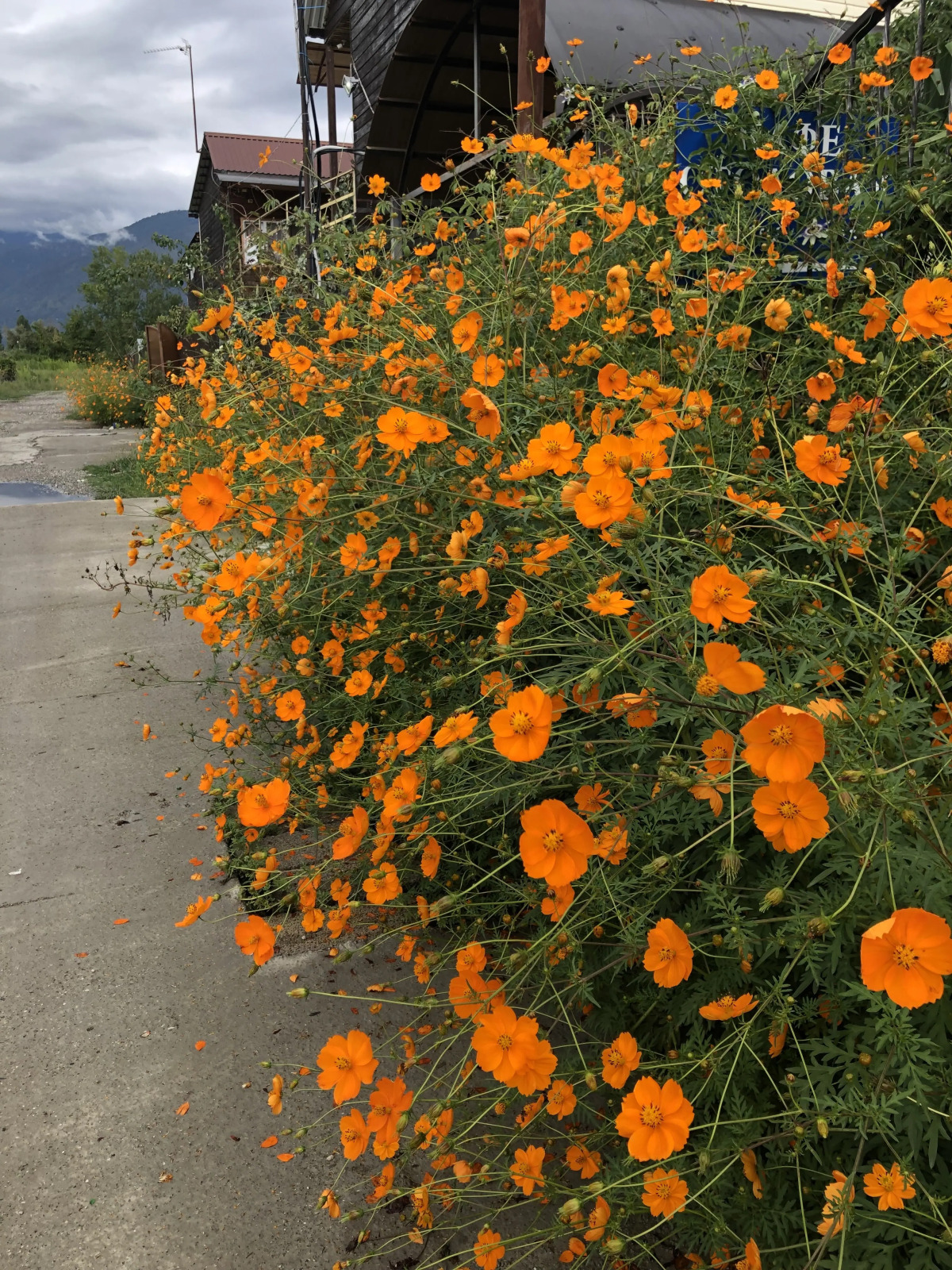 Гостевой дом Морская сказка