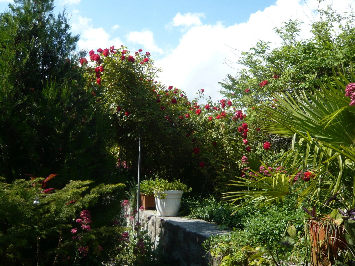 Мини-отель Август