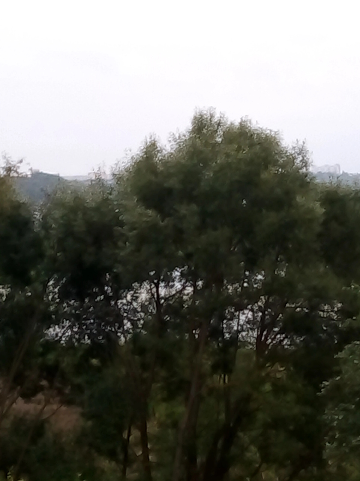 Гостевой Дом Родничок