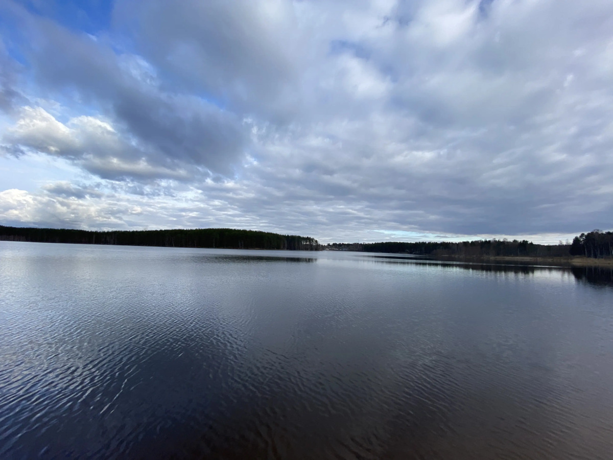 Гостевой дом Верба