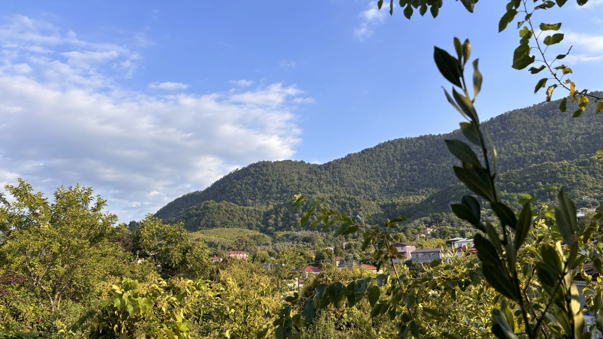 Частный дом Агава