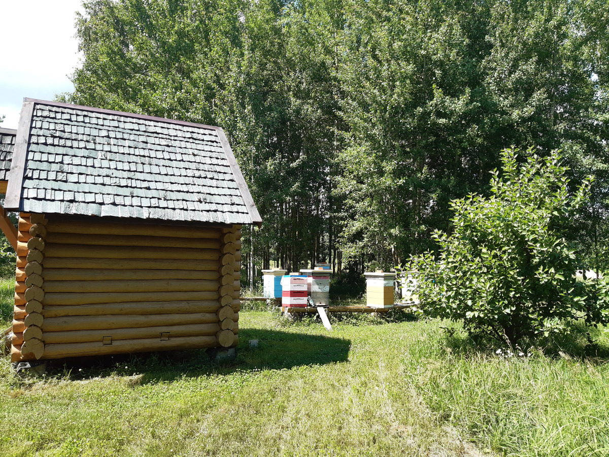 Гостевой дом в деревне Чернокуново