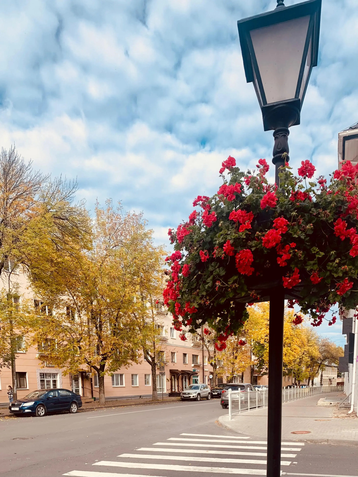 Квартира на Некрасова с Видом на Музей