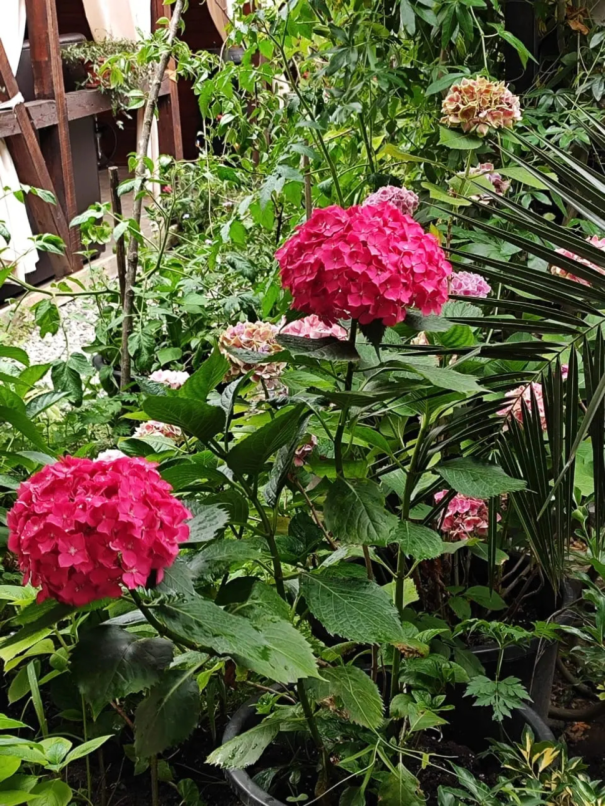 Гостевой дом Морская сказка