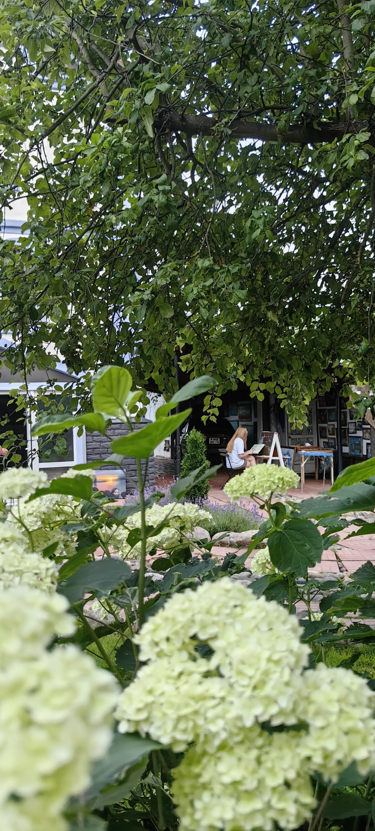 Гостевой дом Лавандовый сад