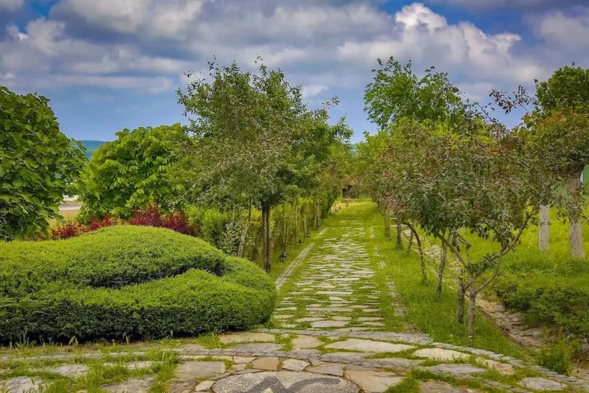 Istanbul Airport Durusu Club Hotel