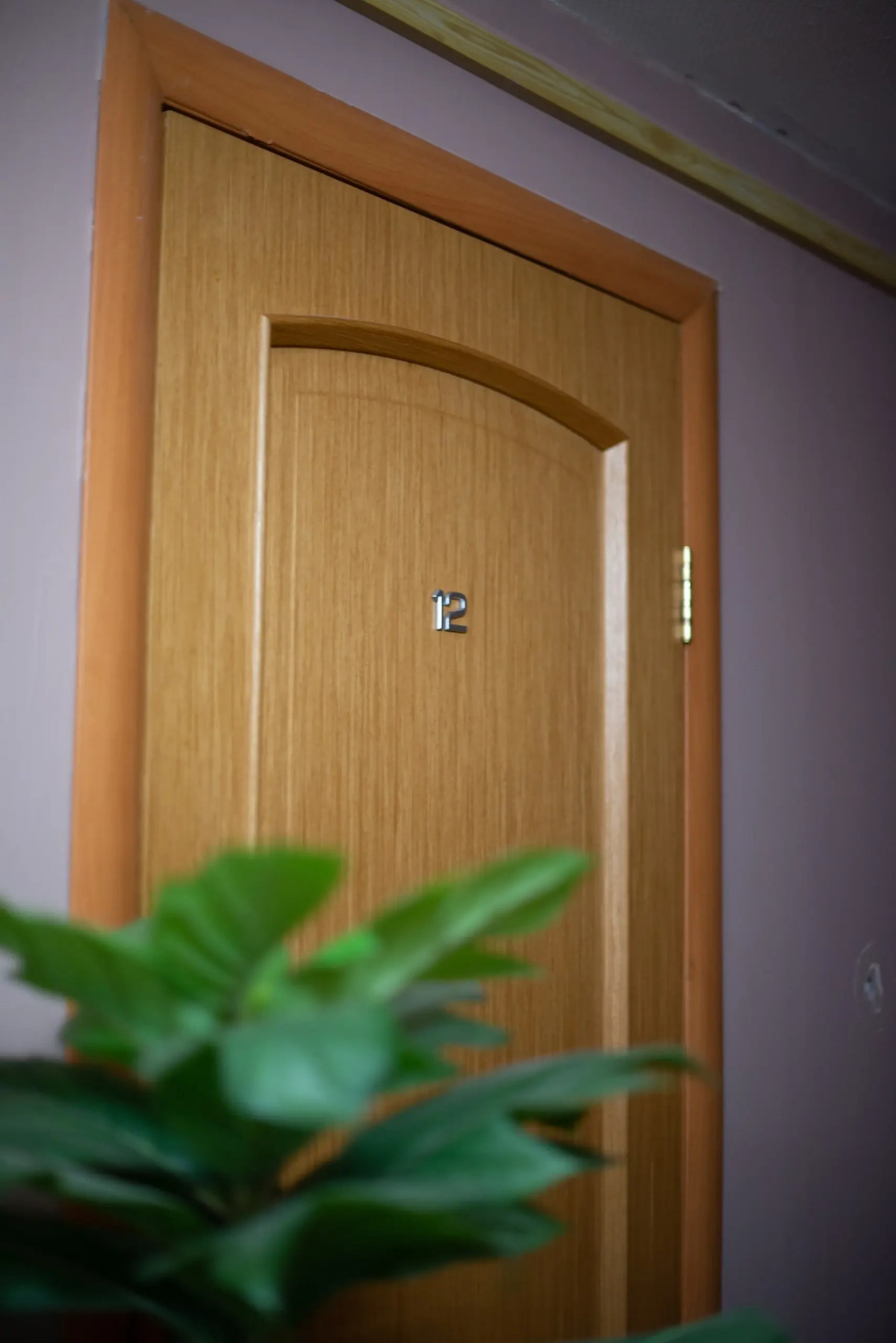 Хостел Крылов