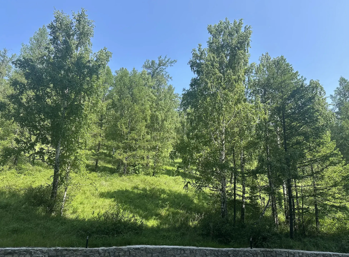 Апартаменты в ГЛК Солнечная Долина на 5 чел.