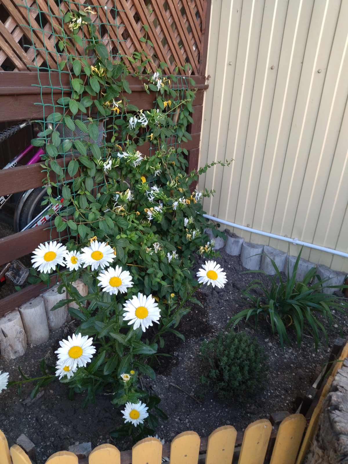 Гостевой дом Песчаный Берег