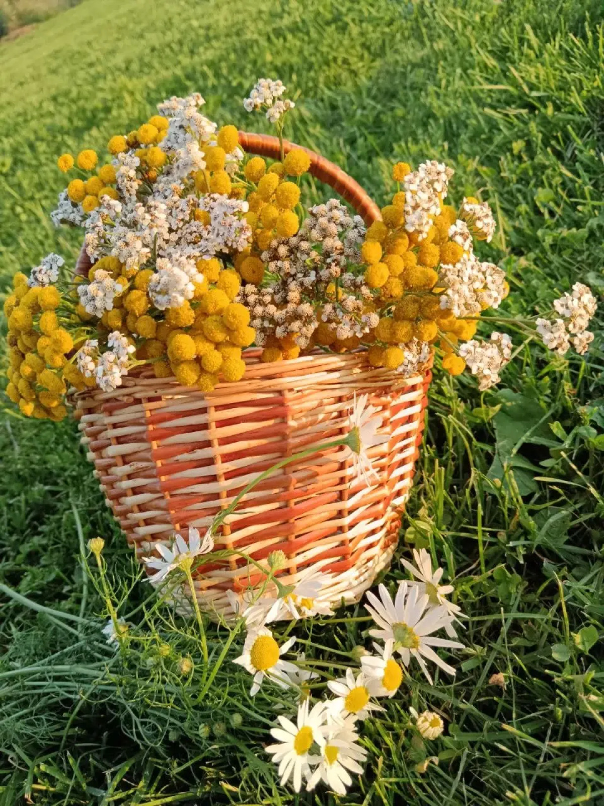 Частный дом в Снетково у озера