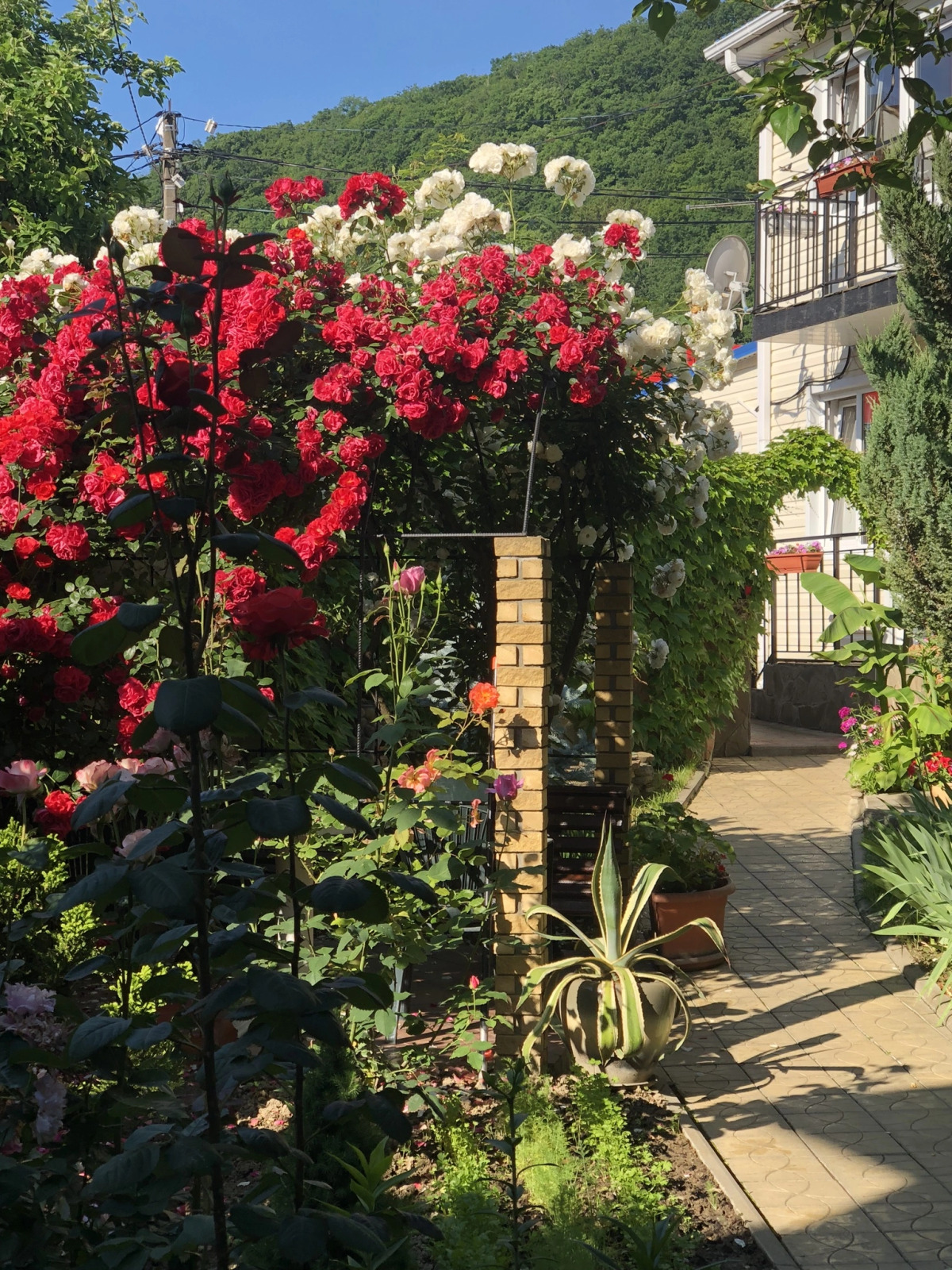 Гостевой дом Черноморье