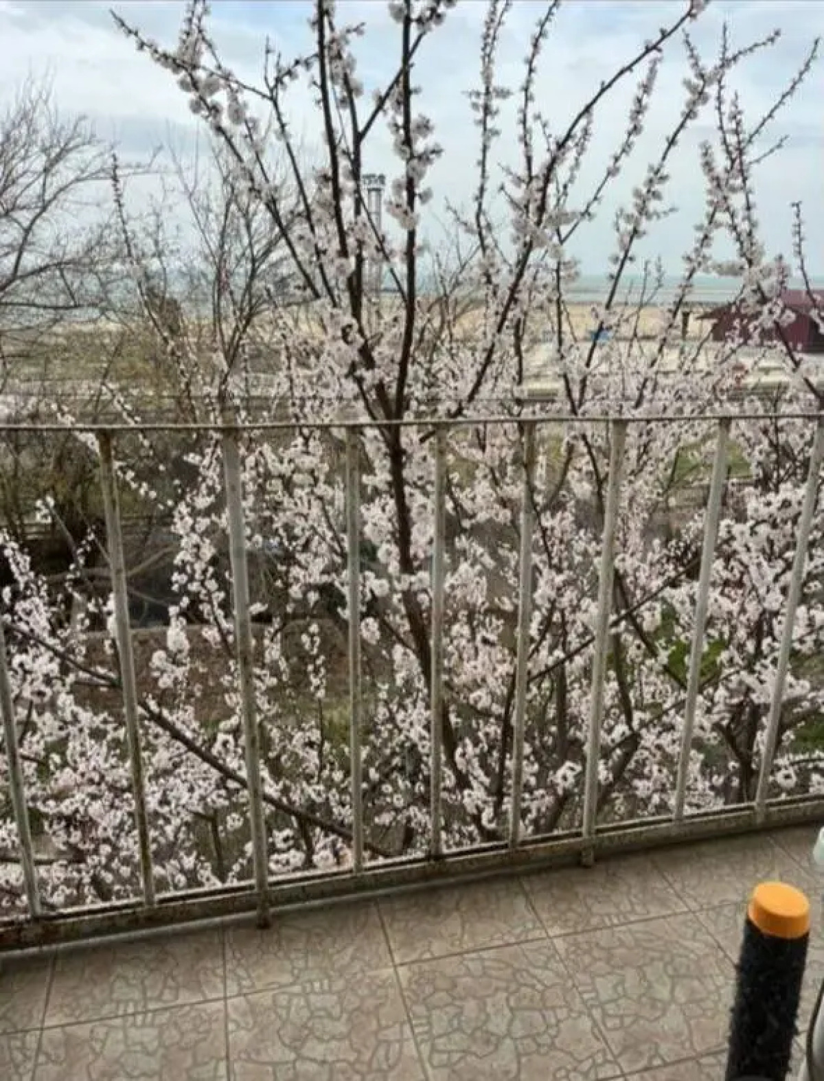 Квартира у набережной