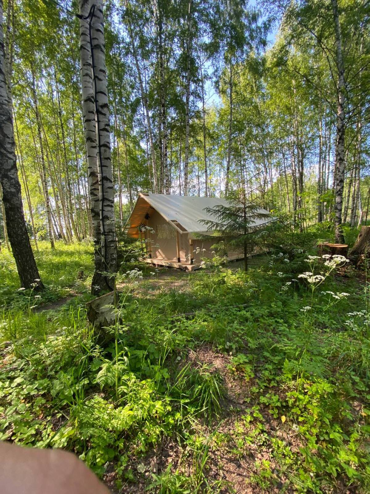 Вилла Берег Грифона 3