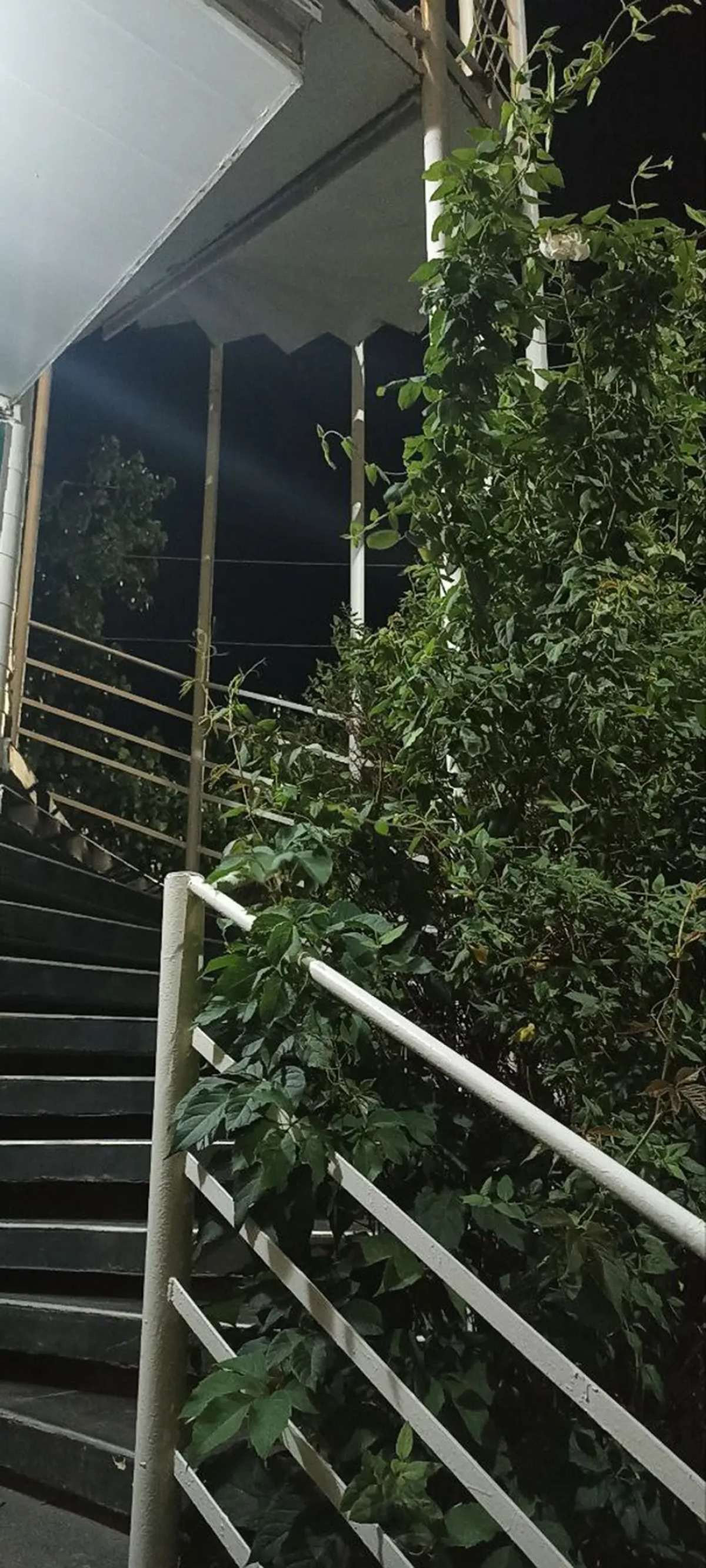 Гостиница Купидон