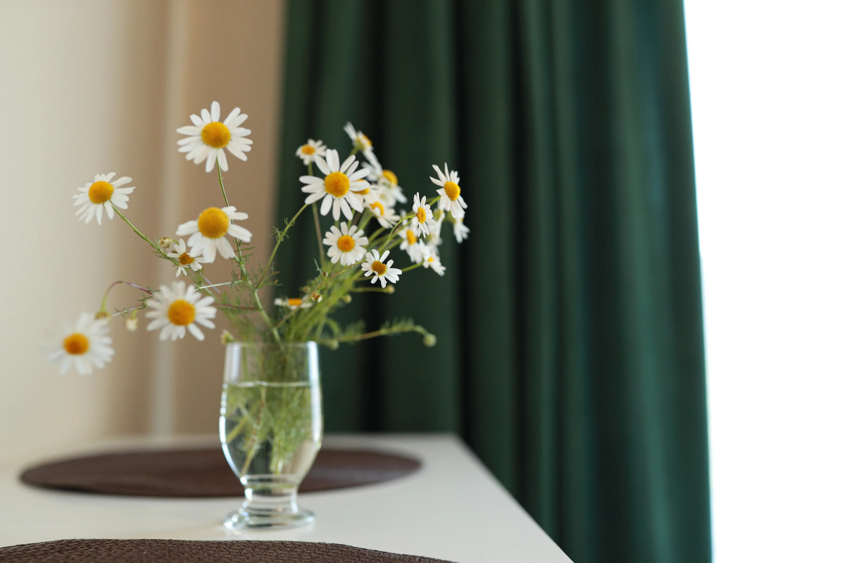 Квартира Garnet Apartments Уют