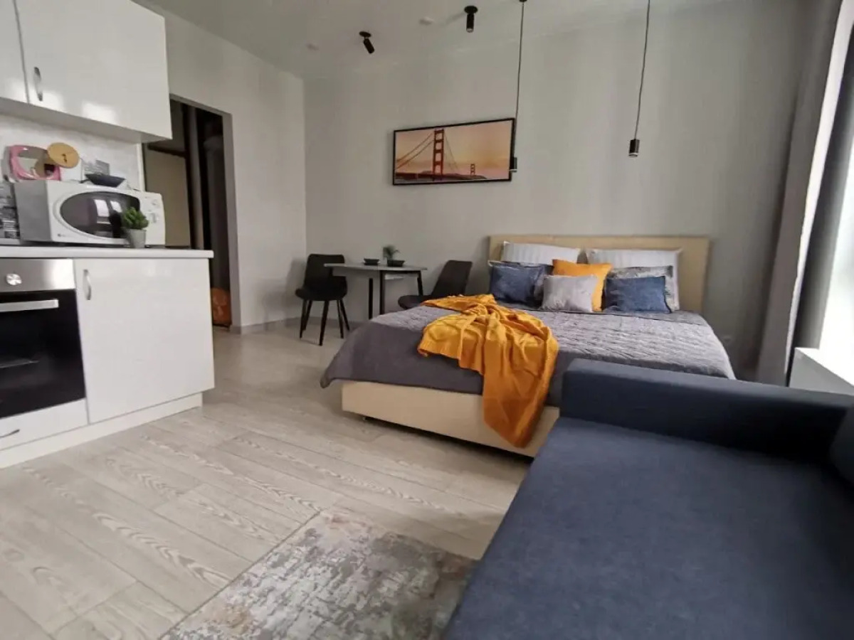 Апартаменты Северное сияние Новгородская 1 (1)