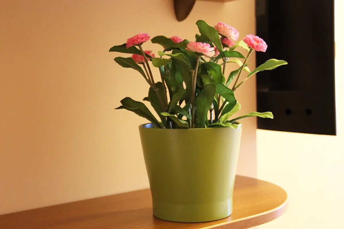 Мини-отель Хит