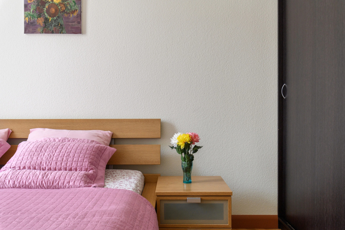 Апартаменты Домотелли центр