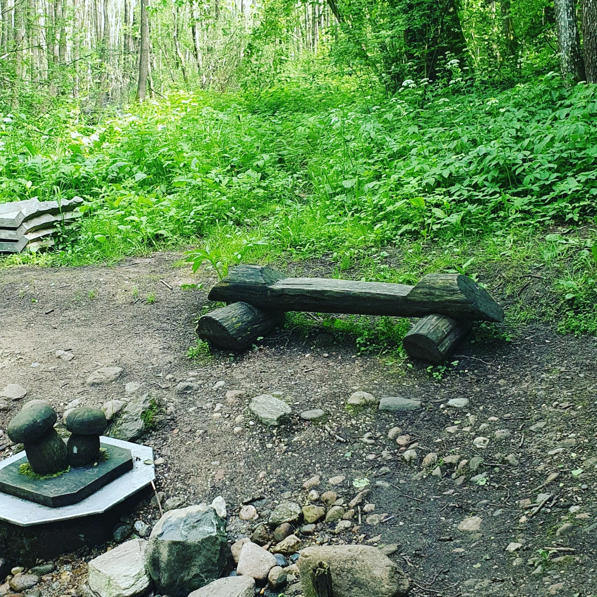 Гостевой дом Агроусадьба у Сан Саныча