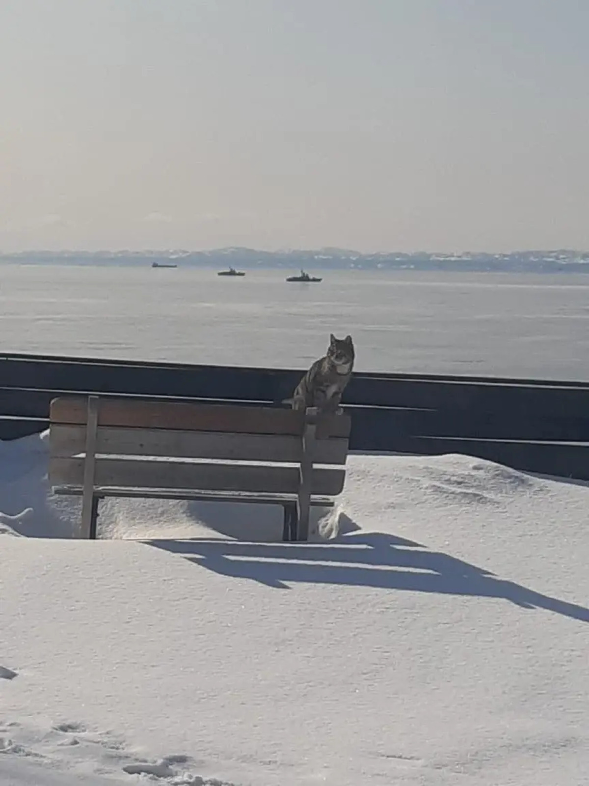 Гостевой дом Bay House Sakhalin